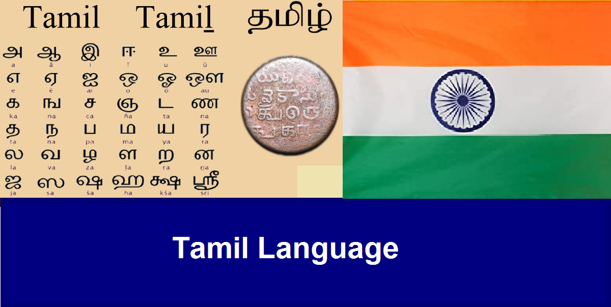 Tamil - SL Grade 3 - Mass Class – 2nd Language